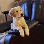 Tucker1